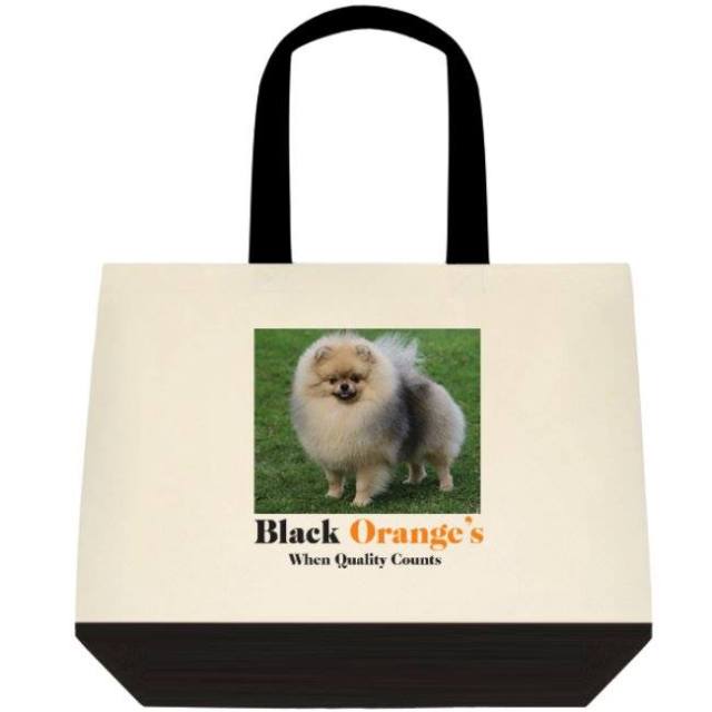 14088471_10154529052016777_5180521946271691702_n