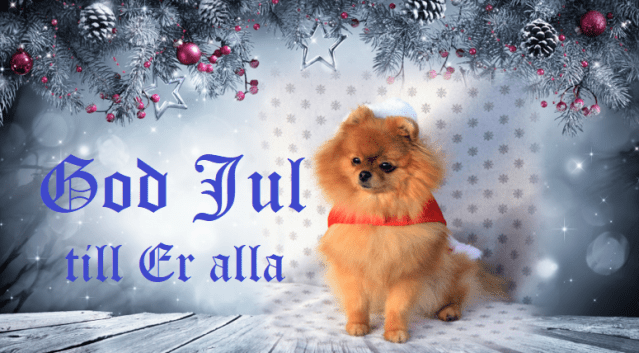lucyh´jul