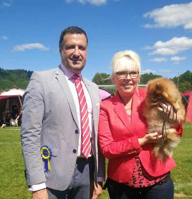 36408057_10156296972876777_5994492838644023296_n