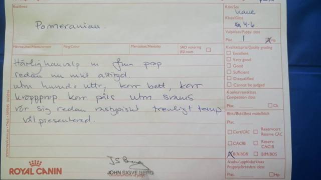 38462797_10156379392791777_1440908248738693120_n