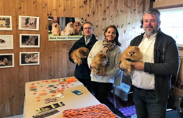 skördefest_tjolöholm_pomeranian