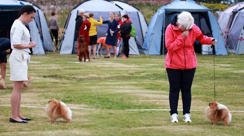 Kotka_IDS_11082019 (2)