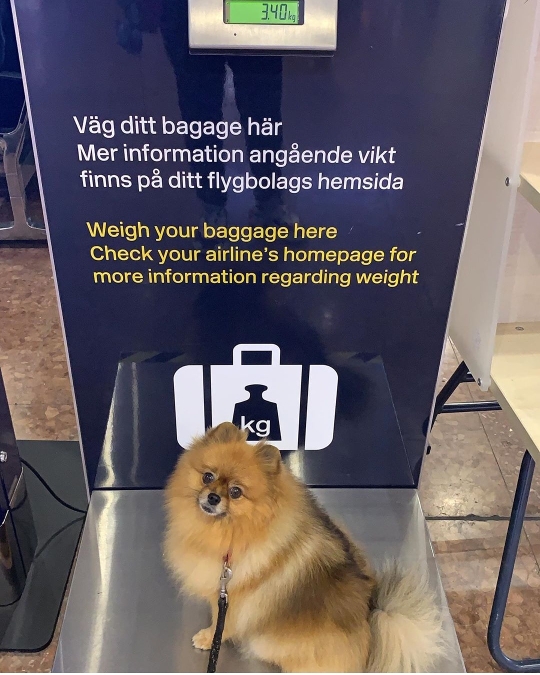 mms_img3173376662873164453