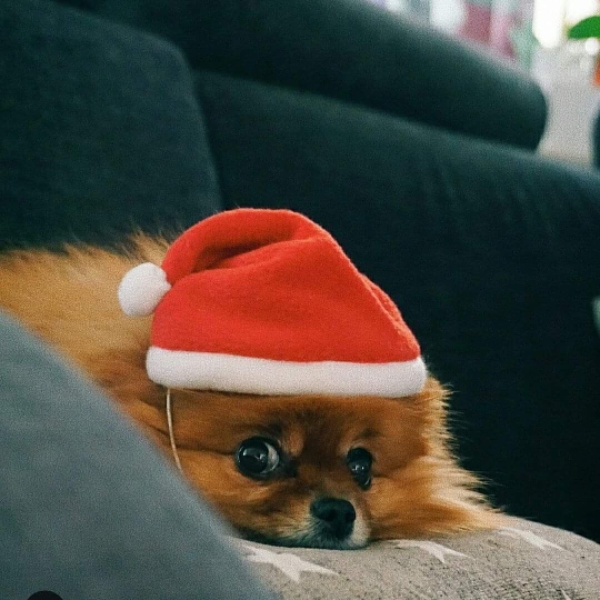 mms_img389974667589361587